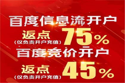 案例对比：SEO与SEM优化效果深度分析